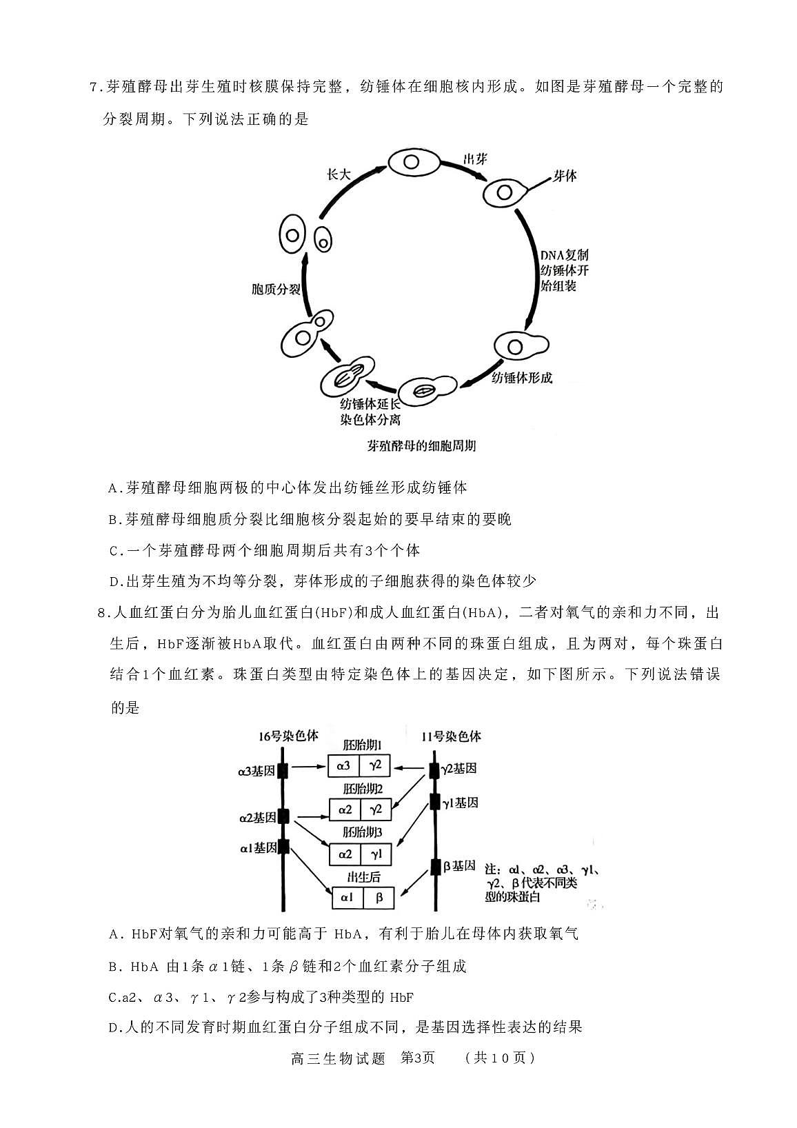 山东省名校联盟2025-2026学年高三上学期11月期中考试 生物试题第3页