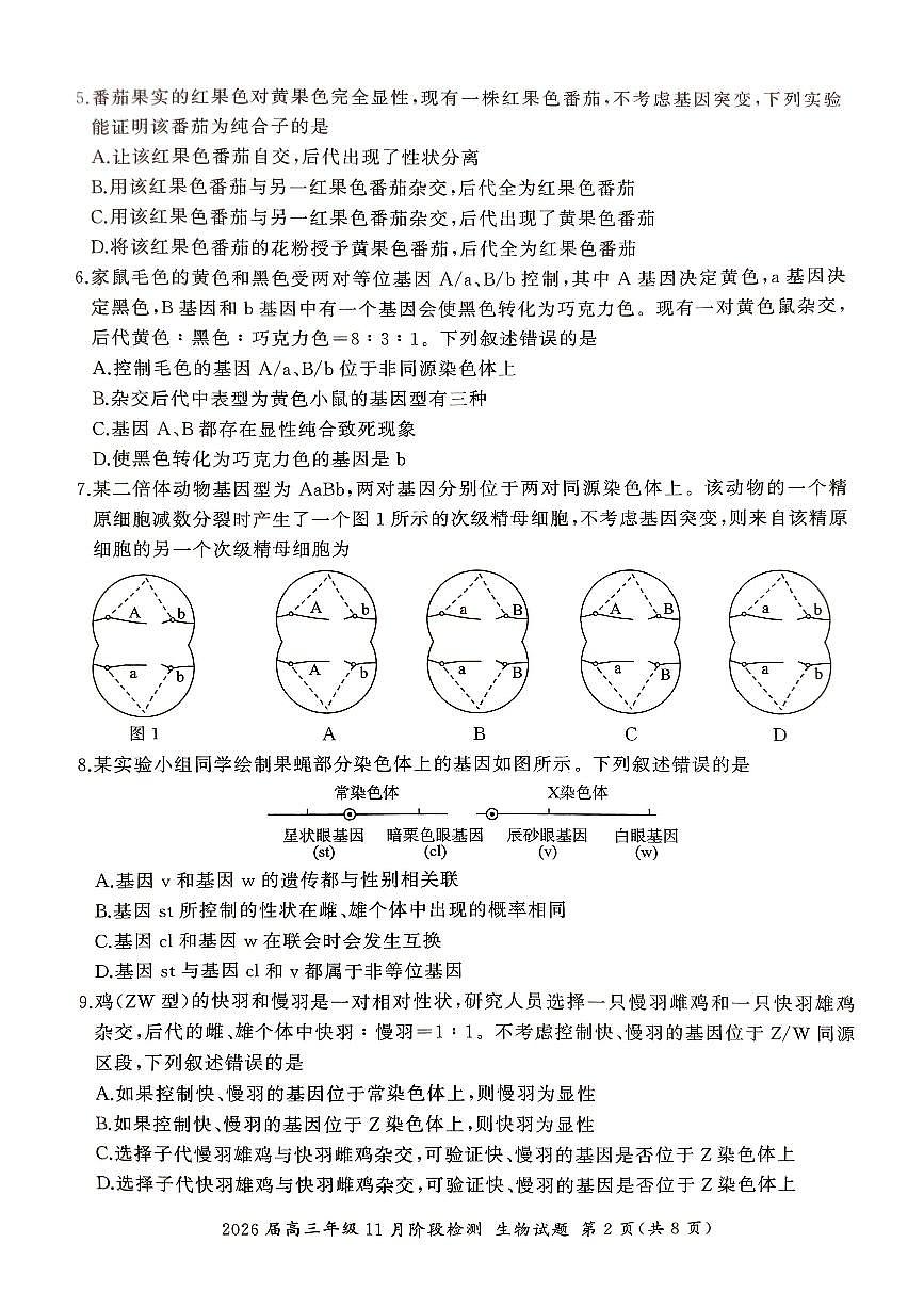 河北省秦皇岛市普通高中2025-2026学年高三上学期11月期中生物试题第2页