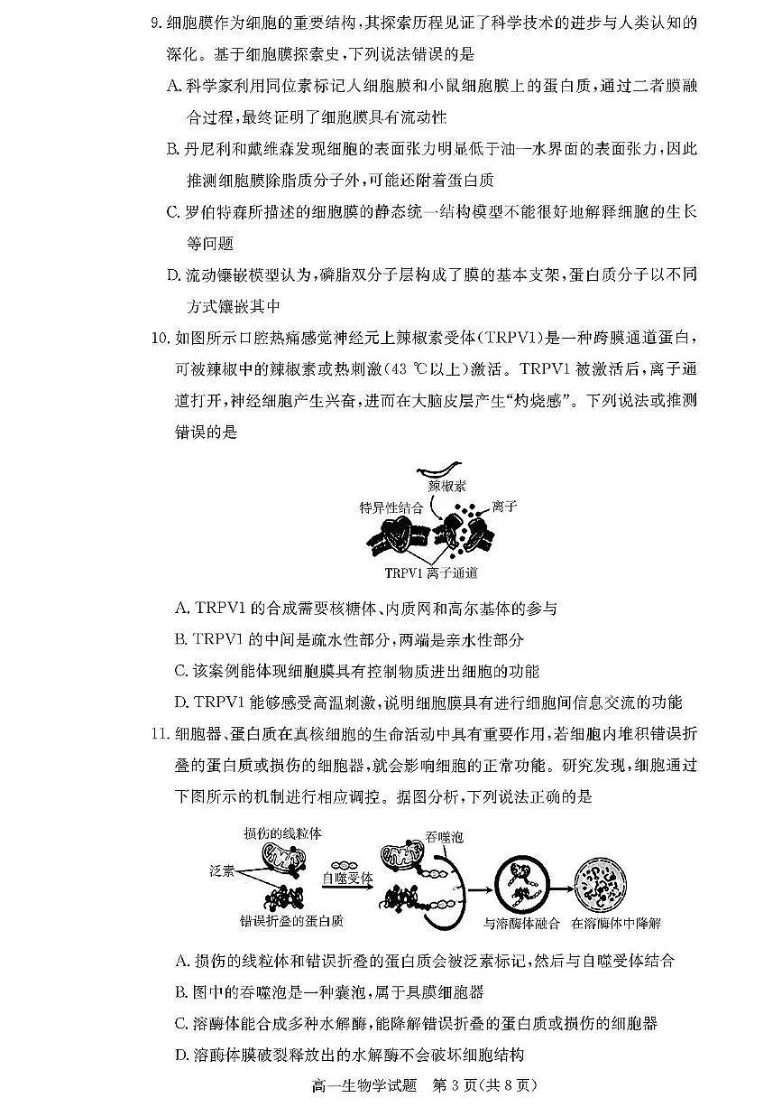 湖南省多校联考2025-2026学年高一上学期11月期中生物试题第3页