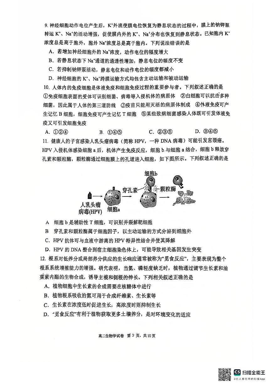 辽宁省大连市沙河口区大连市第八中学2025-2026学年高二上学期11月期中生物试题第3页
