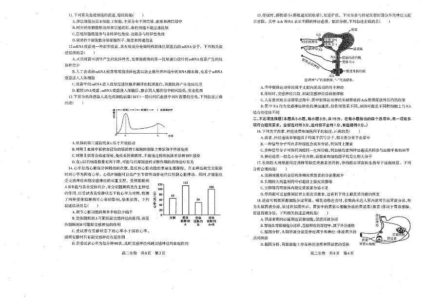 辽宁省重点中学协作校联考2025-2026学年高二上学期11月期中生物试题第2页