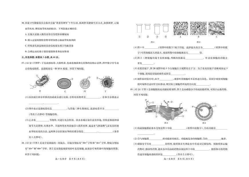 生物-江西省上进联考2025-2026学年高一上学期11月期中试题及答案第3页