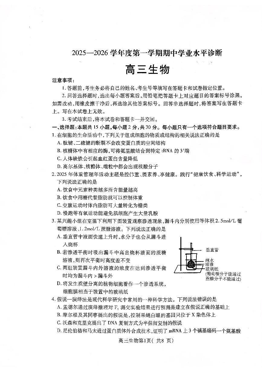 山东省烟台市2026届高三上学期11月期中学业水平诊断生物试卷+答案第1页