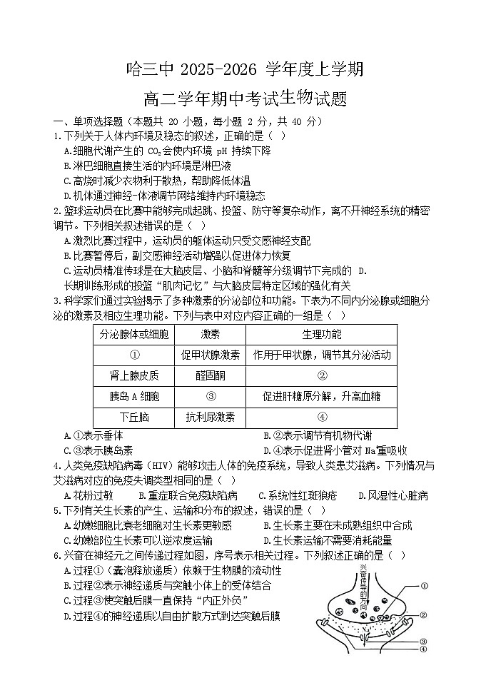 黑龙江省哈尔滨市第三中学校2025-2026学年高二上学期期中考试生物试卷第1页