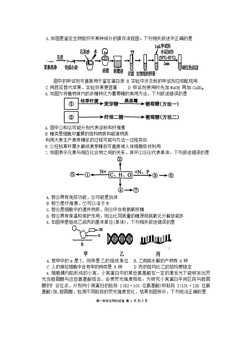 辽宁省大连市第二十四中学2025-2026学年高一上学期期中考试生物试卷第2页