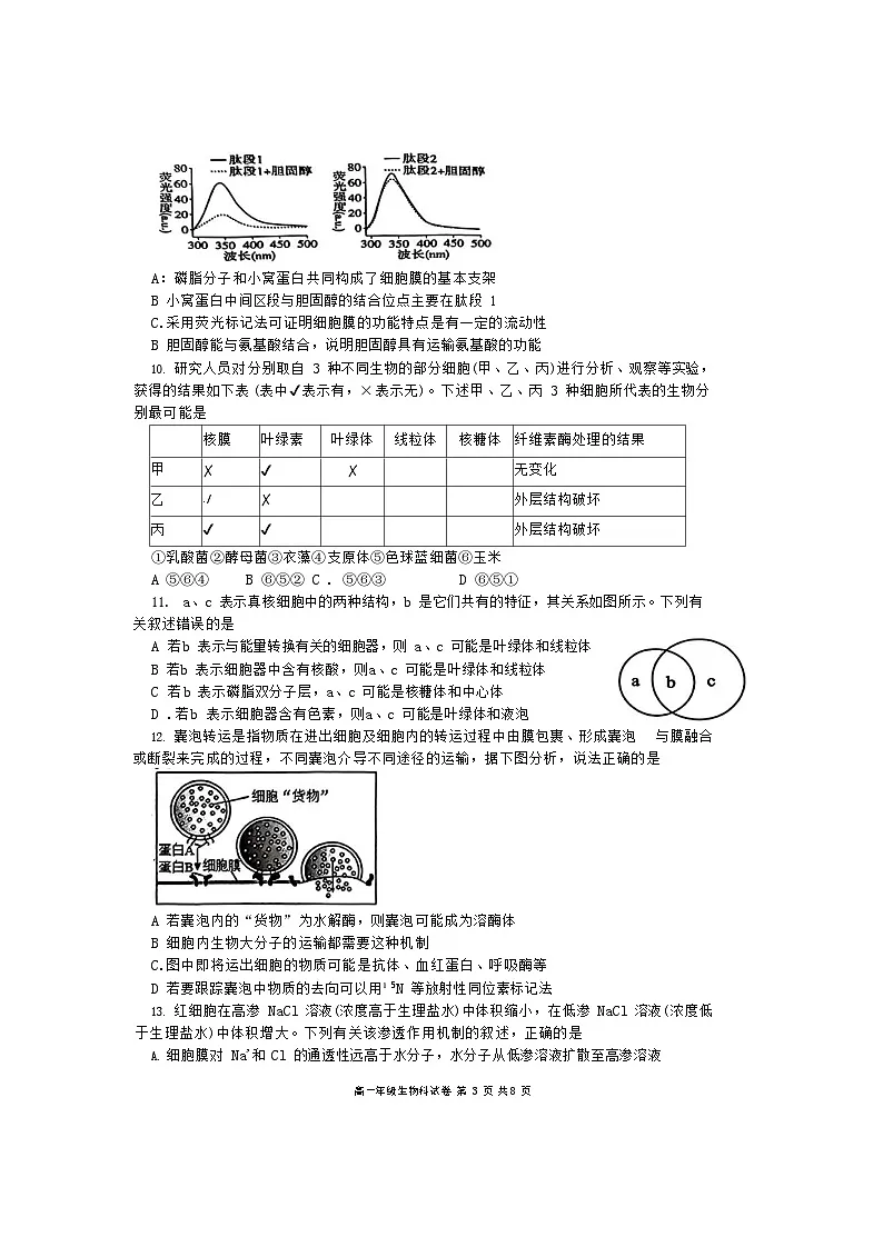 辽宁省大连市第二十四中学2025-2026学年高一上学期期中考试生物试卷第3页