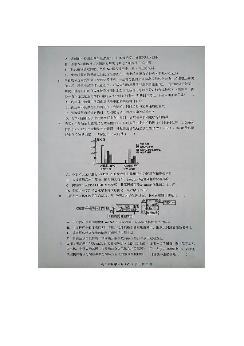 湖北楚天协作体联考2025-2026学年高三上学期11月期中考试生物试卷第2页