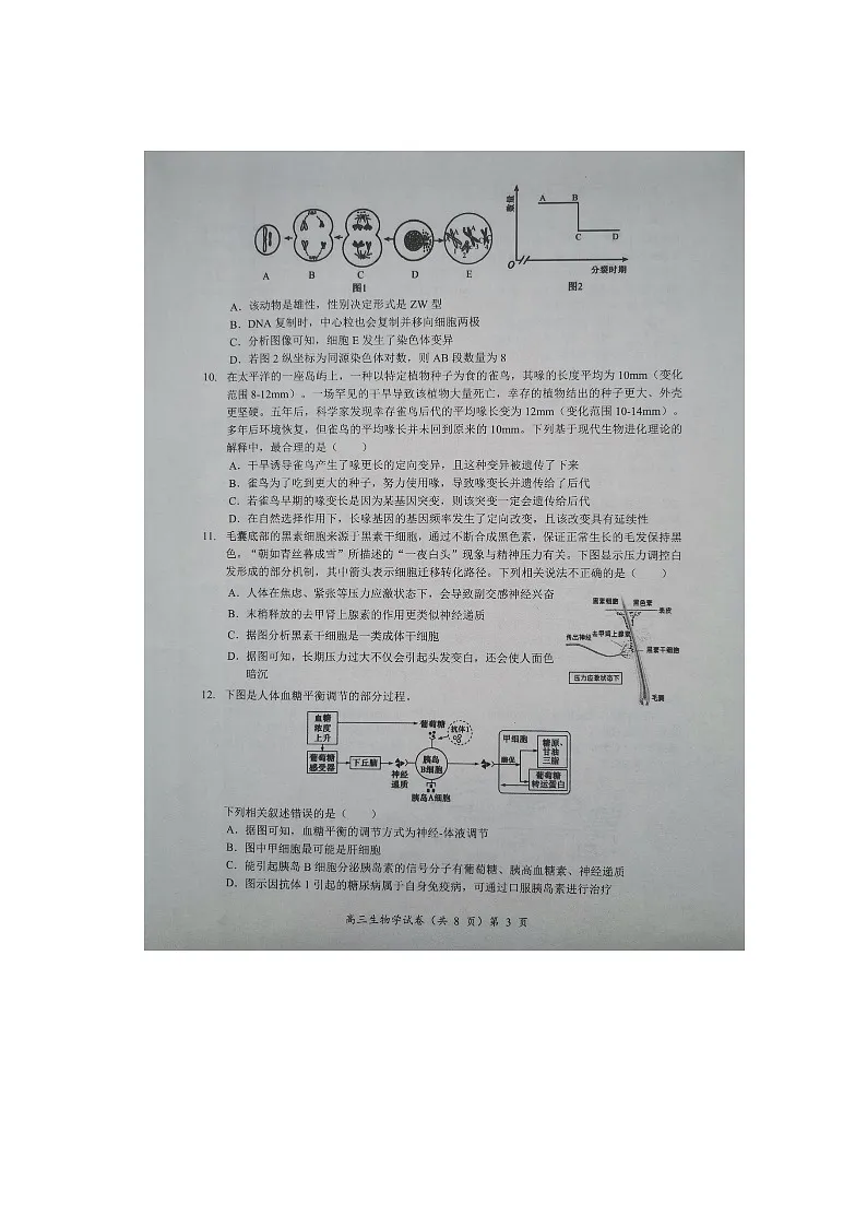 湖北楚天协作体联考2025-2026学年高三上学期11月期中考试生物试卷第3页