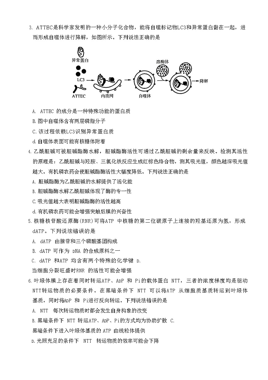 山东省名校联考2025-2026学年高三上学期11月期中考试生物试卷第2页