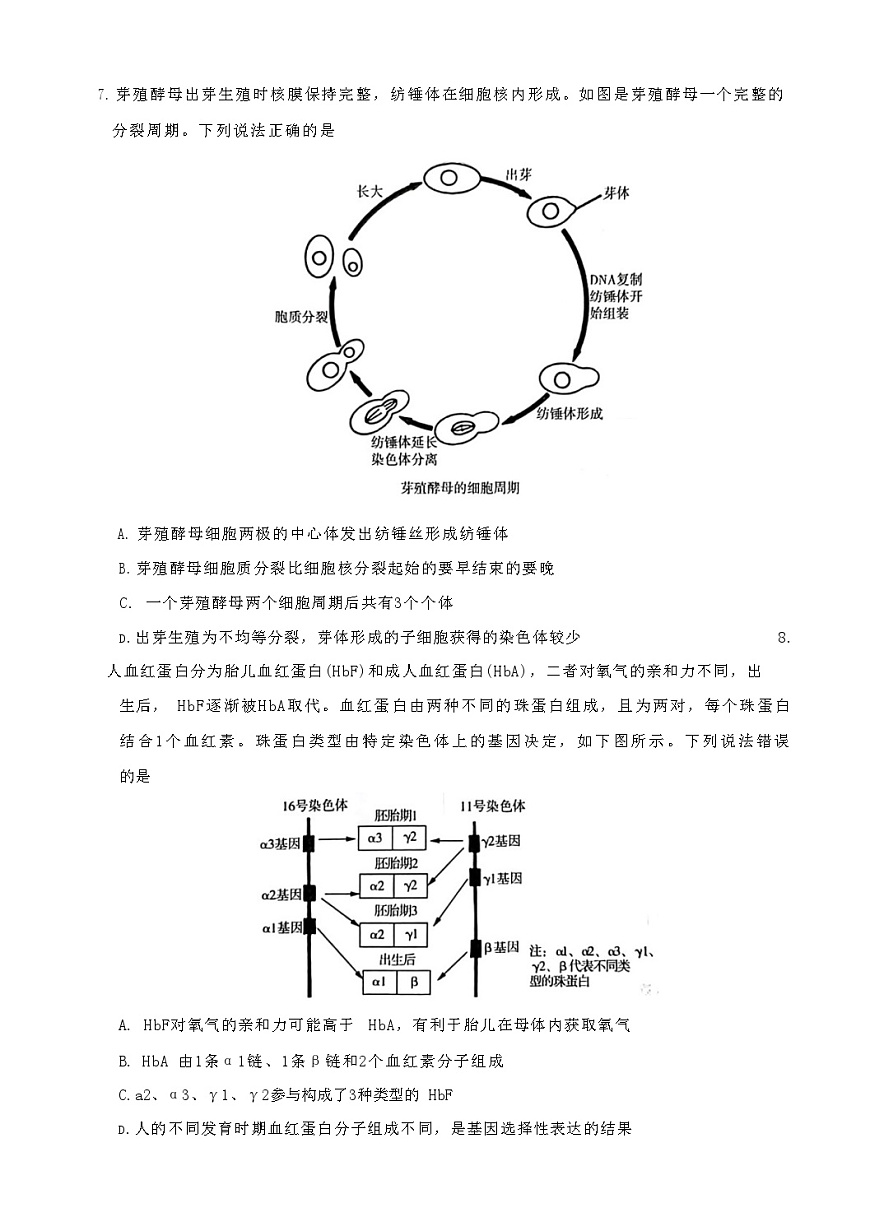 山东省名校联考2025-2026学年高三上学期11月期中考试生物试卷第3页