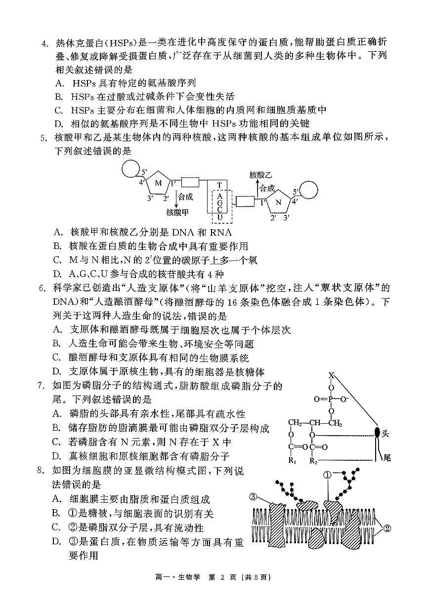 辽宁省沈阳市五校协作体2025-2026学年上学期高一生物期中试卷（含答案及解析）第2页