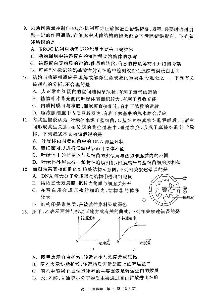 辽宁省沈阳市五校协作体2025-2026学年上学期高一生物期中试卷（含答案及解析）第3页