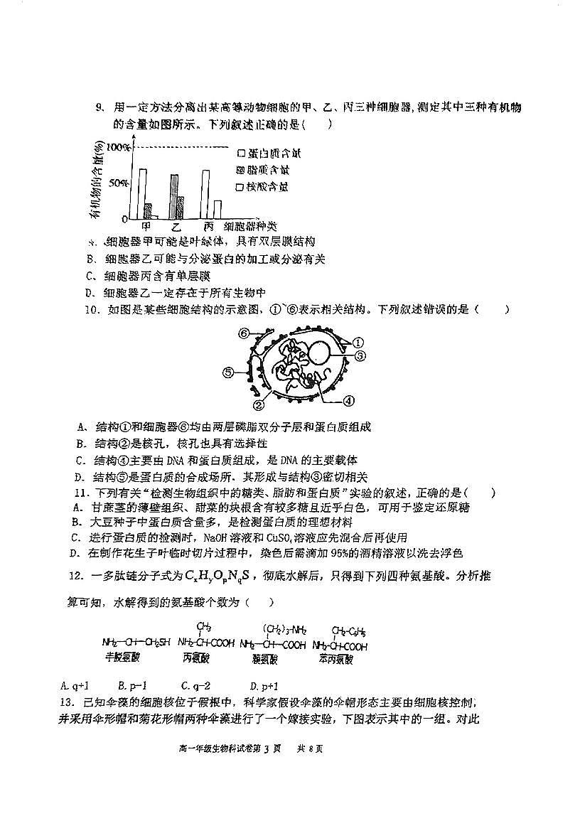辽宁省鞍山市第一中学2025-2026学年第一学期高一生物期中试卷（无答案）第3页