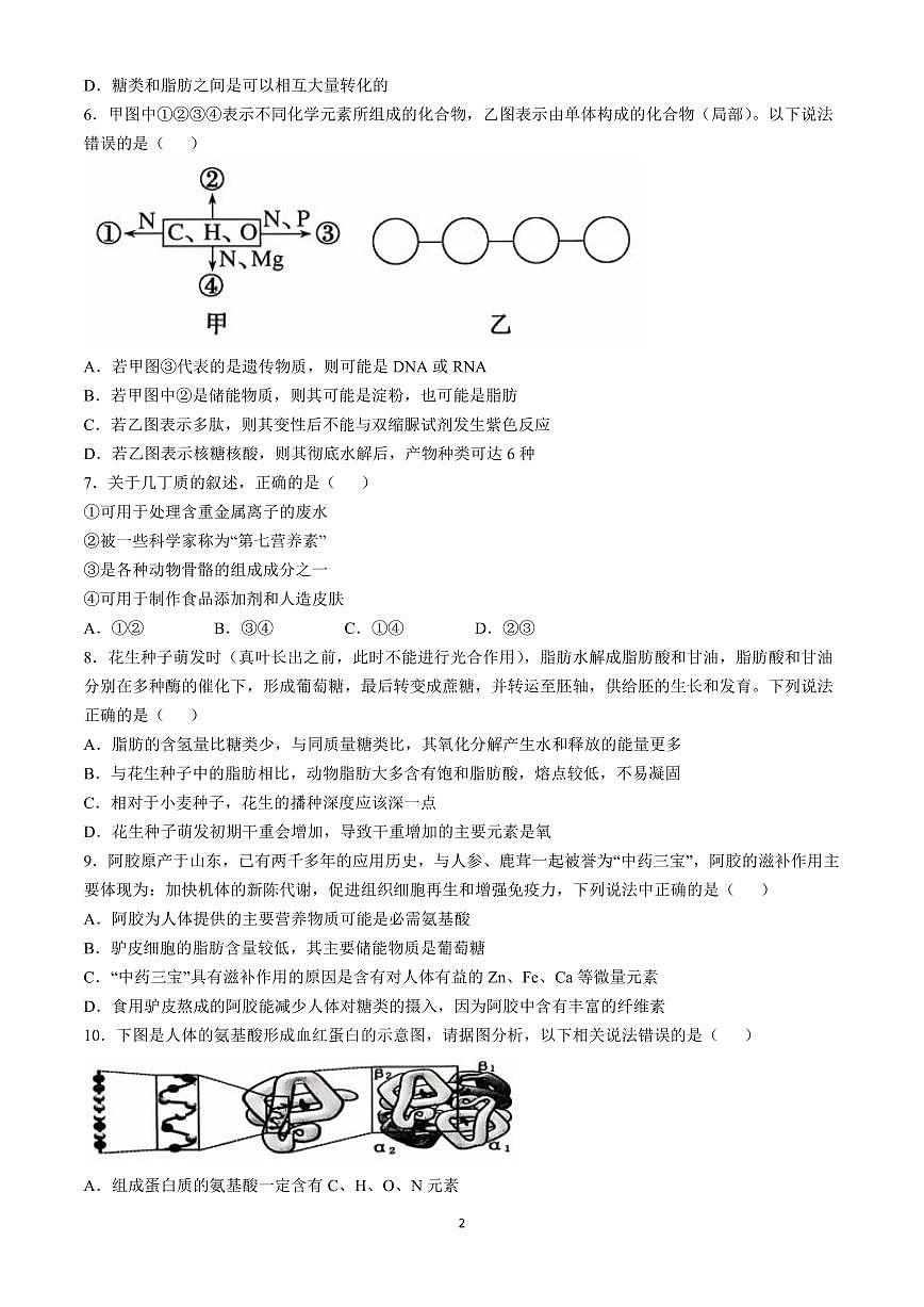 江苏省徐州市铜山区2024-2025学年高一上学期11月期中考试生物试卷 （含答案）第2页