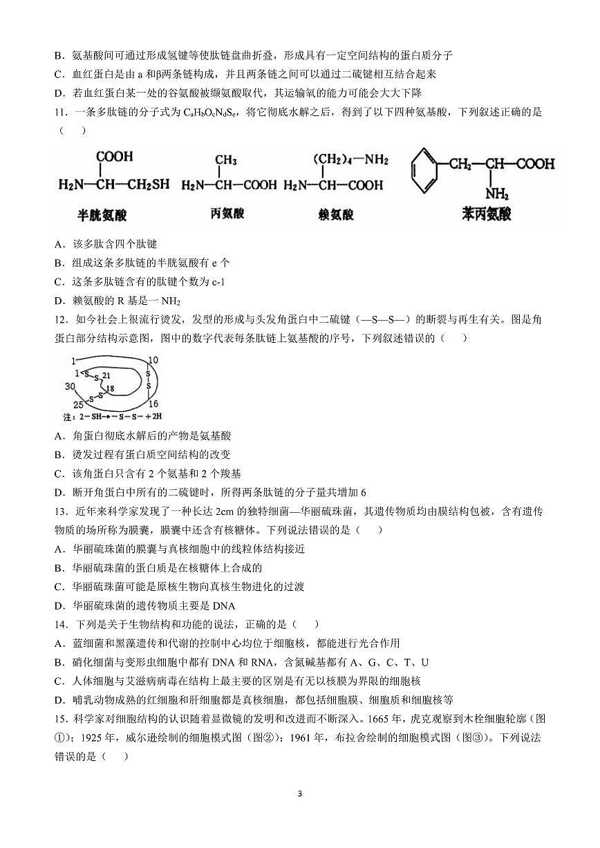 江苏省徐州市铜山区2024-2025学年高一上学期11月期中考试生物试卷 （含答案）第3页