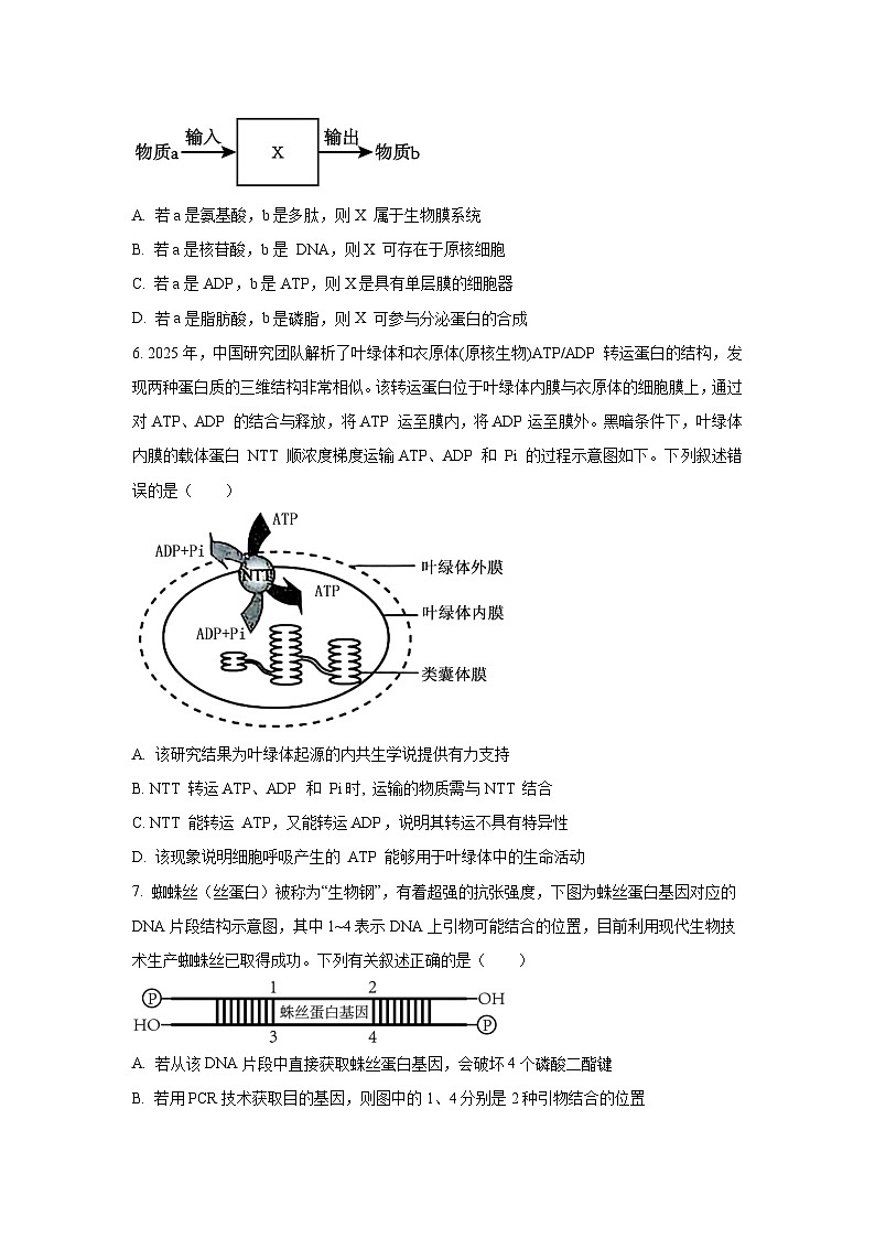 四川省内江市多校2025-2026学年高三上学期10月联考生物试卷（学生版）第2页