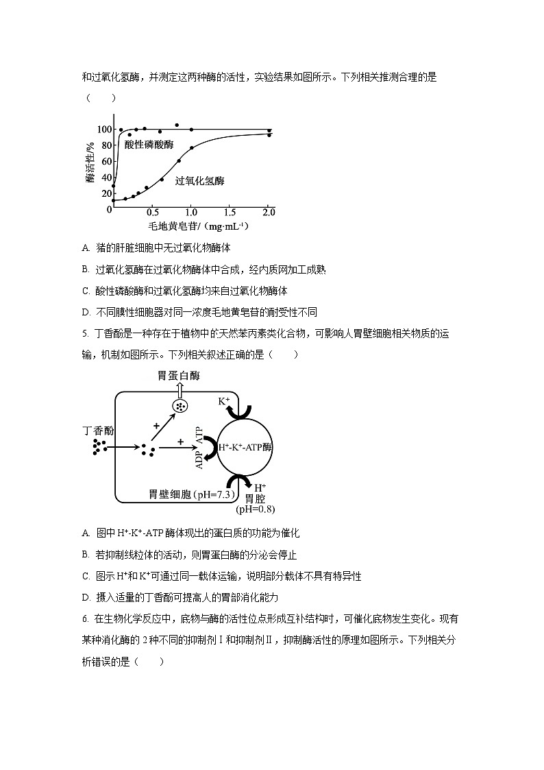 四川省部分学校2026届高三上学期10月联考生物试卷（学生版）第2页