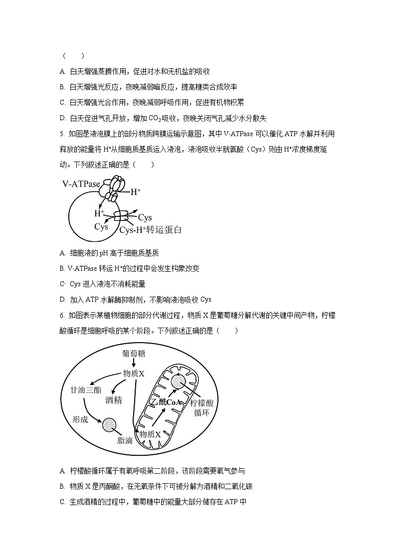 陕西省安康市部分学校2025-2026学年高三上10月月考生物试卷（学生版）第2页
