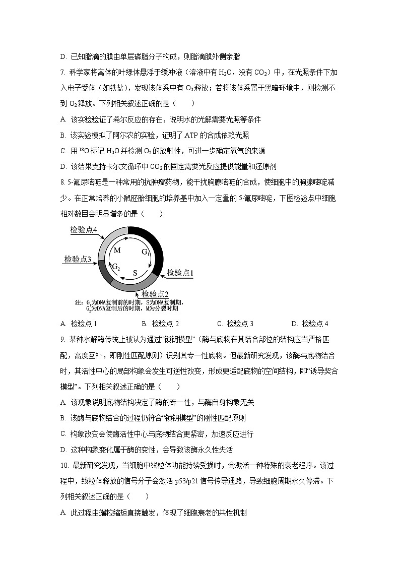 陕西省安康市部分学校2025-2026学年高三上10月月考生物试卷（学生版）第3页