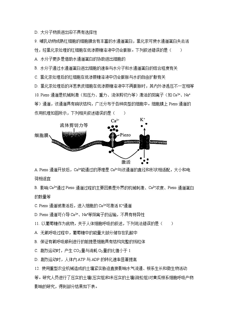四川省百师联盟2026届高三第一次调研考试生物试卷（学生版）第3页