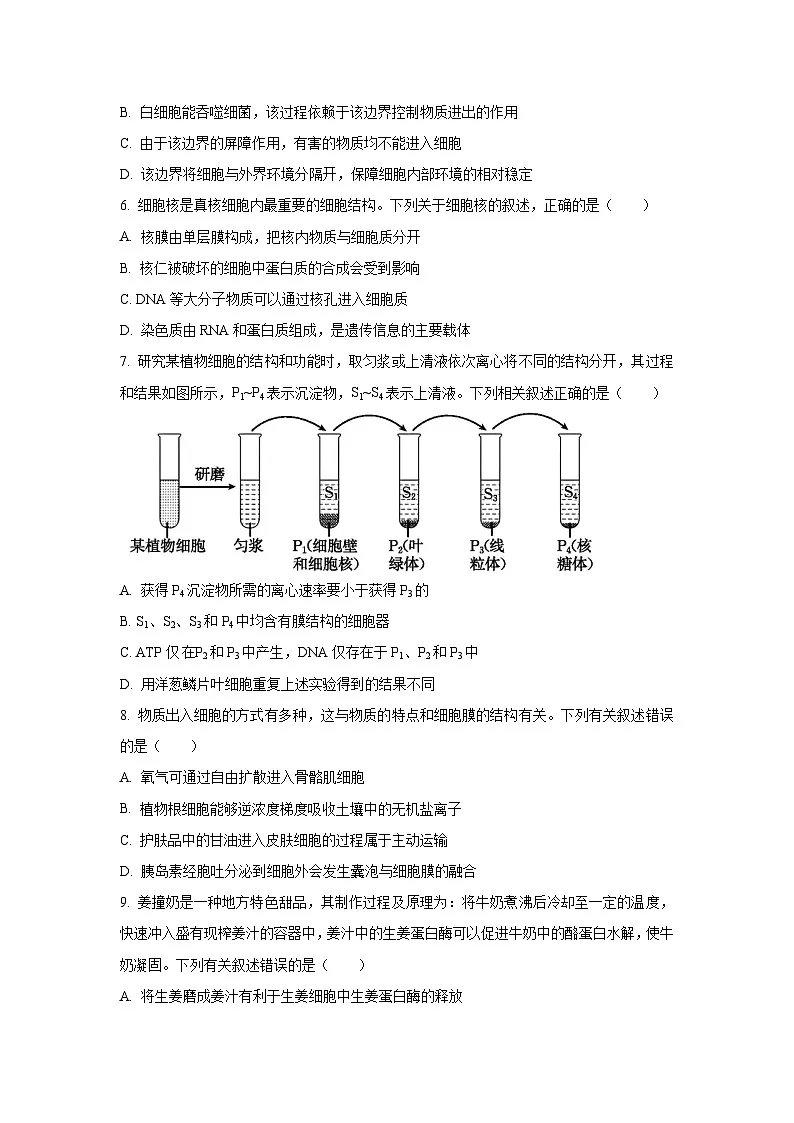 山东省部分学校2025-2026学年高三上学期10月月考生物试卷（学生版）第2页