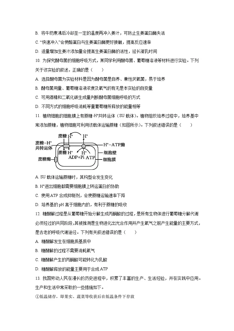 山东省部分学校2025-2026学年高三上学期10月月考生物试卷（学生版）第3页