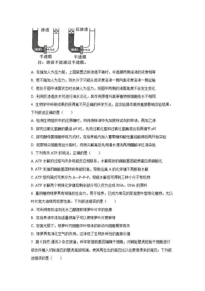 贵州省部分学校2025-2026学年高三上学期10月联考生物试卷第2页