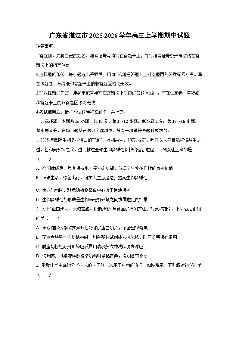 广东省湛江市2025-2026学年高三上学期期中生物试卷（学生版）第1页
