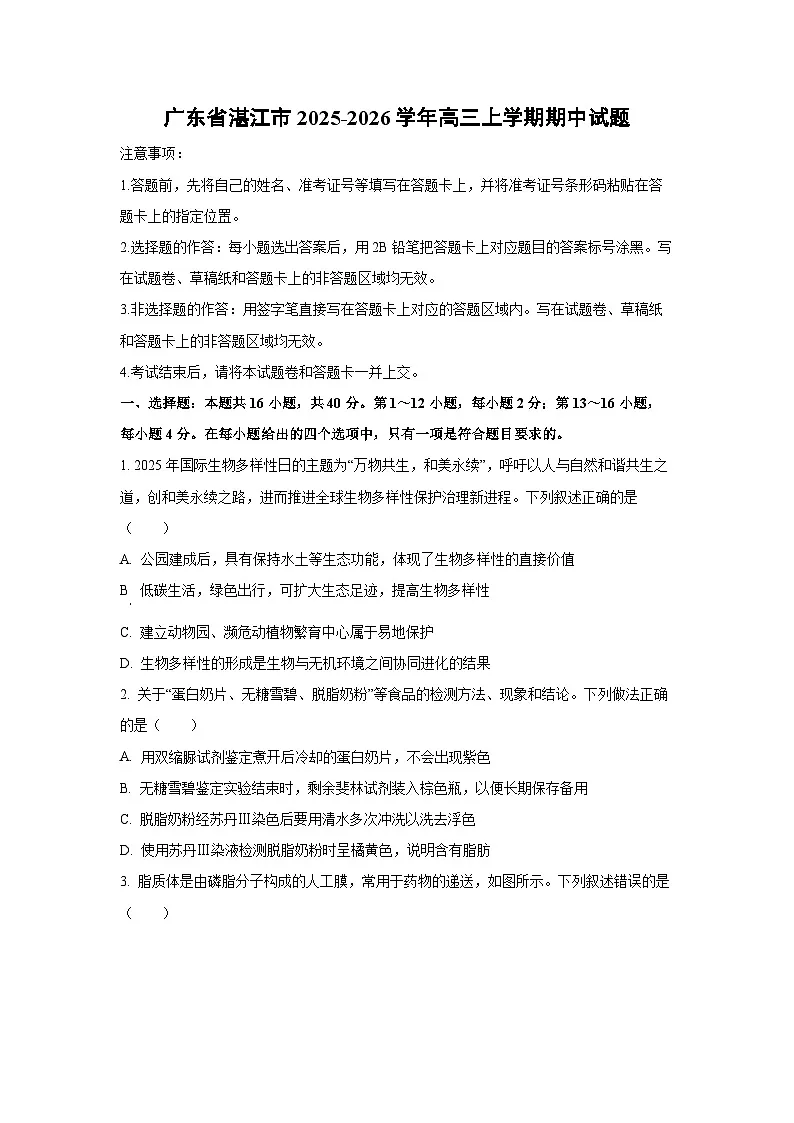 广东省湛江市2025-2026学年高三上学期期中生物试卷（学生版）第1页