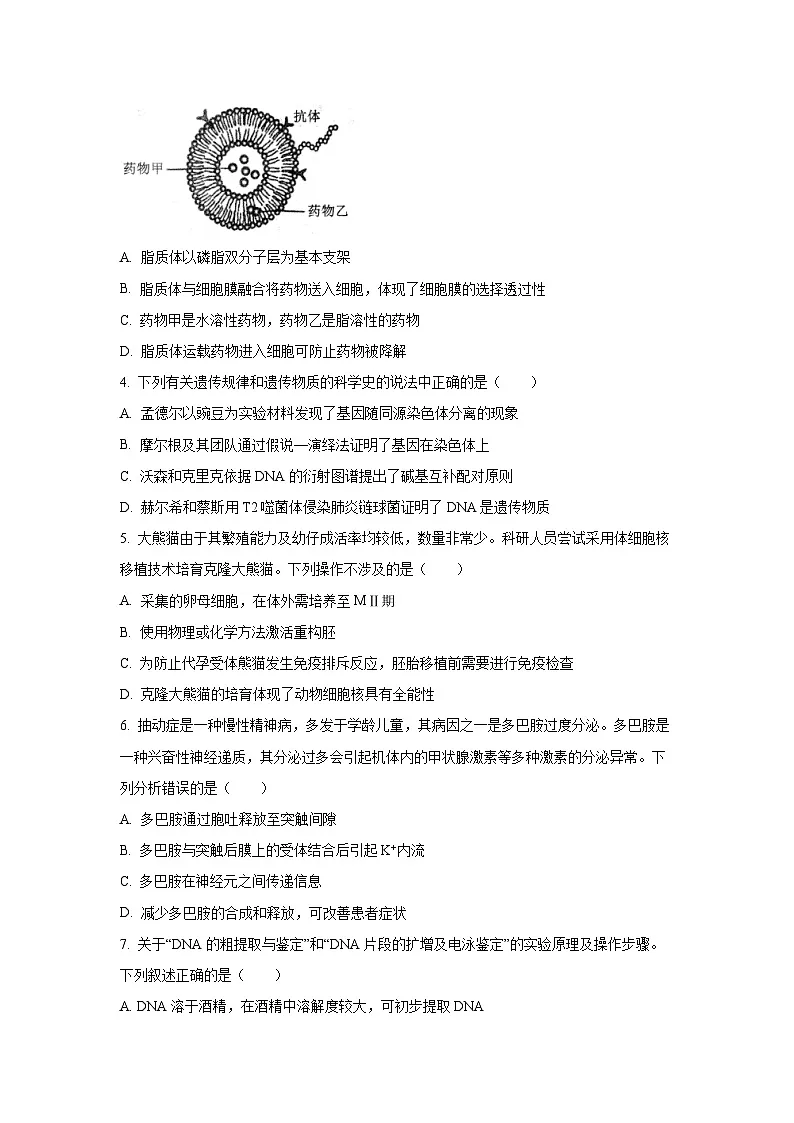 广东省湛江市2025-2026学年高三上学期期中生物试卷（学生版）第2页