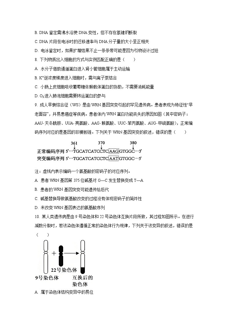 广东省湛江市2025-2026学年高三上学期期中生物试卷（学生版）第3页