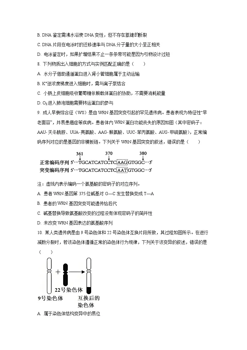 广东省湛江市2025-2026学年高三上学期期中生物试卷（学生版）第3页