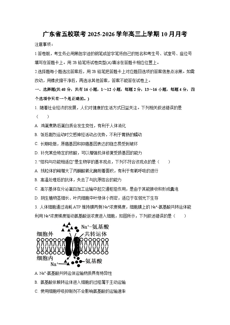 广东省五校联考2025-2026学年高三上学期10月月考生物试卷（学生版）第1页
