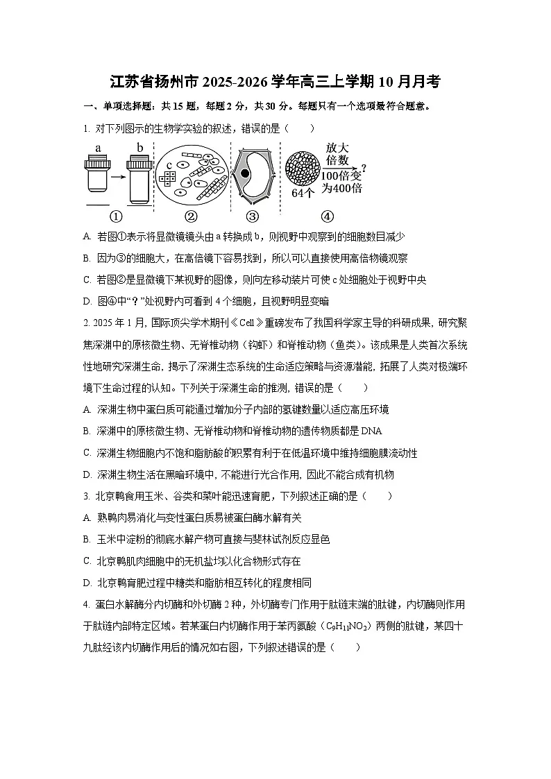 江苏省扬州市2025-2026学年高三上学期10月月考生物试卷（学生版）第1页