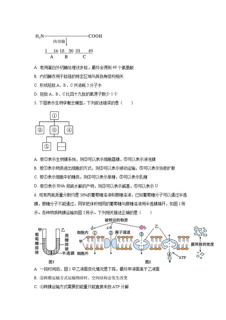 江苏省扬州市2025-2026学年高三上学期10月月考生物试卷（学生版）第2页