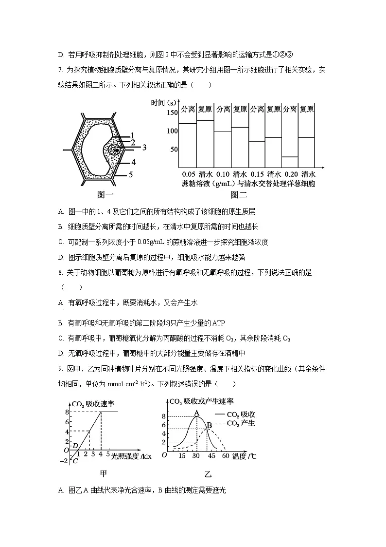 江苏省扬州市2025-2026学年高三上学期10月月考生物试卷（学生版）第3页