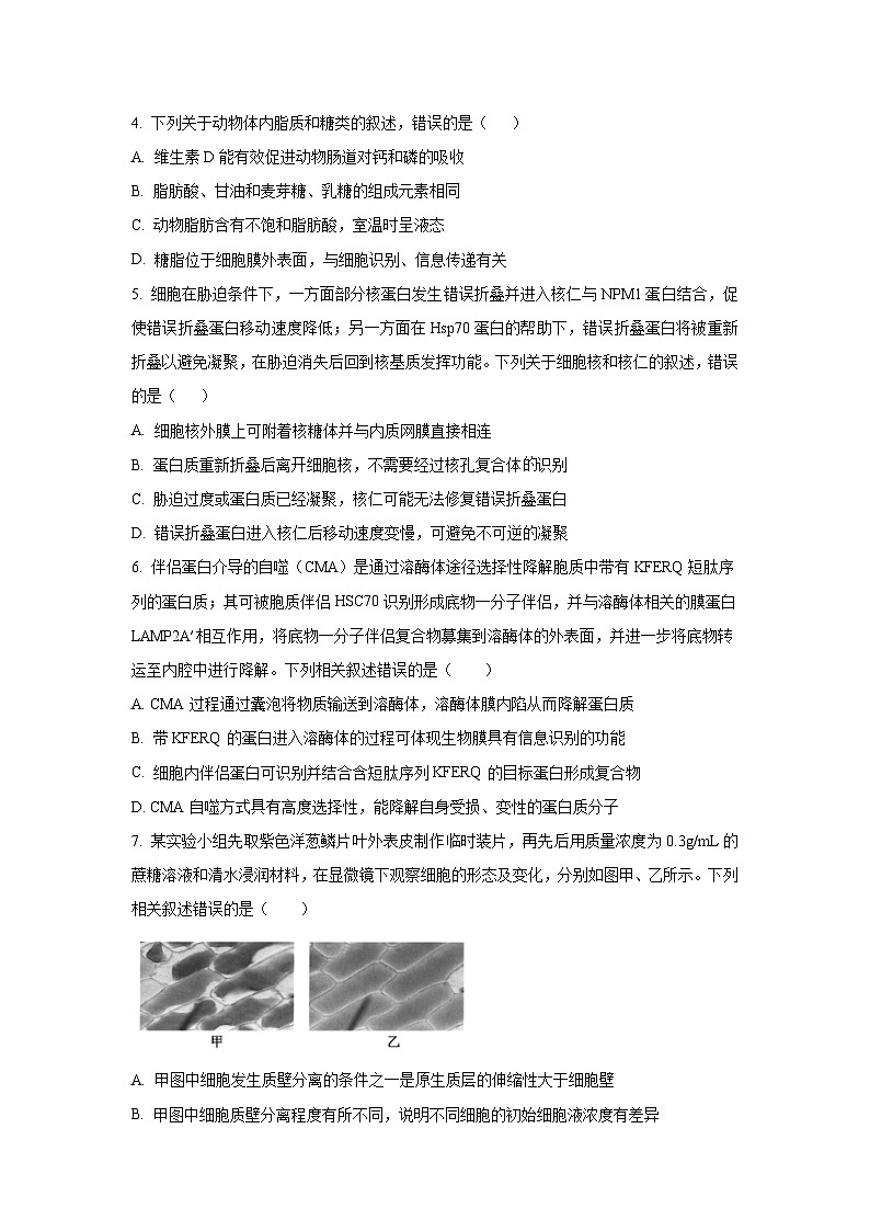 吉林省松原市部分学校2025-2026学年高三上10月联考生物试卷（学生版）第2页