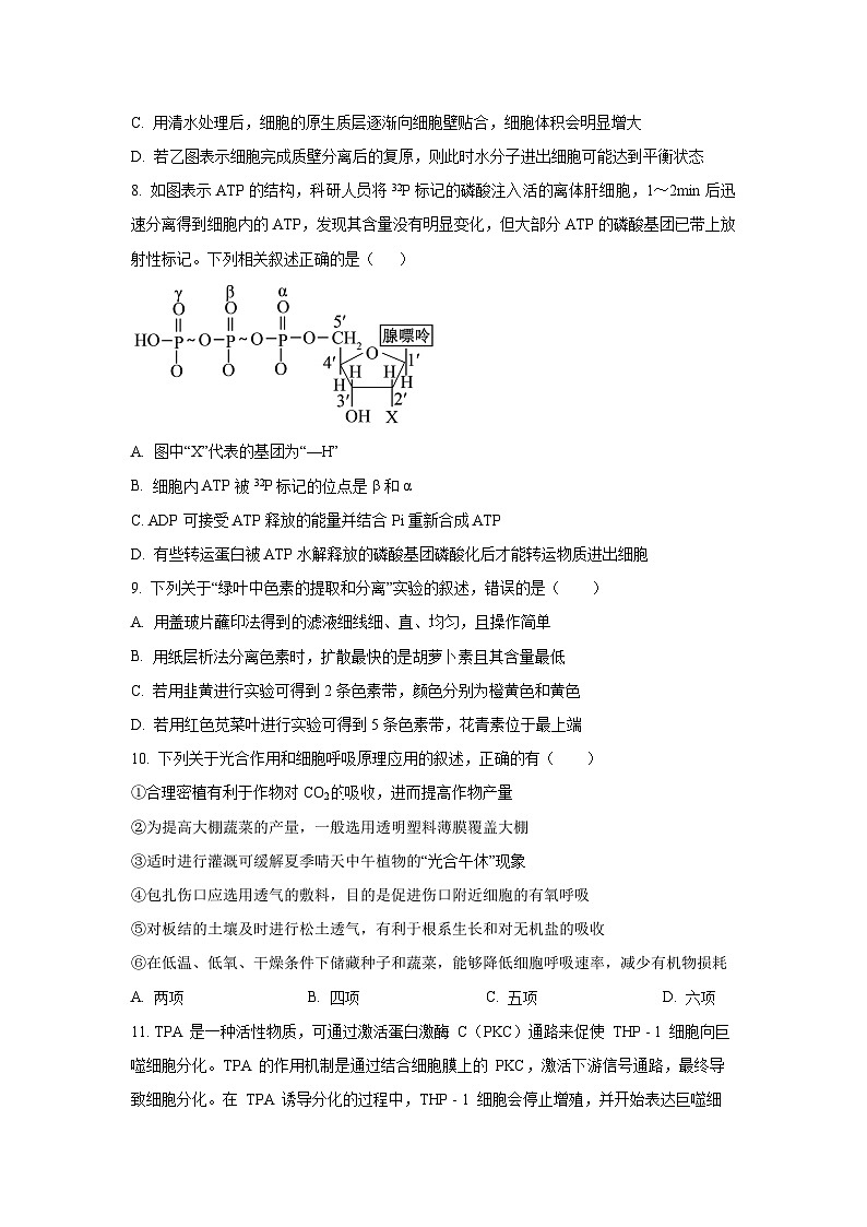 吉林省松原市部分学校2025-2026学年高三上10月联考生物试卷（学生版）第3页