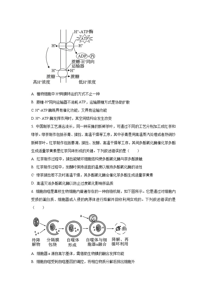 湖南省多校2025-2026学年高三上学期上10月月考生物试卷（学生版）第2页