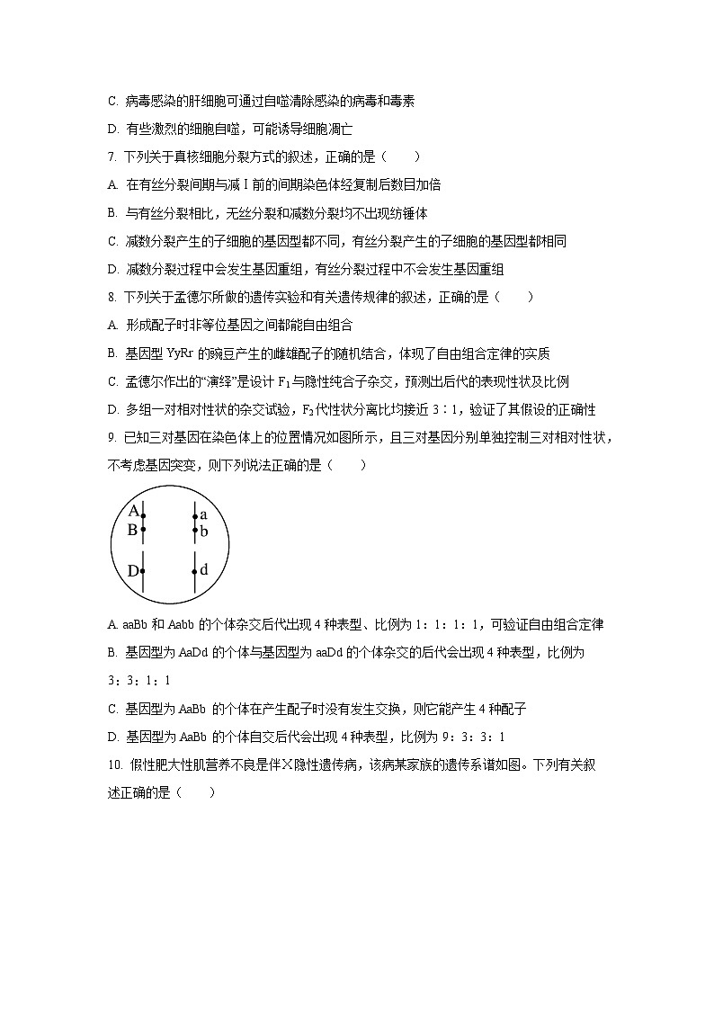 湖南省多校2025-2026学年高三上学期上10月月考生物试卷（学生版）第3页