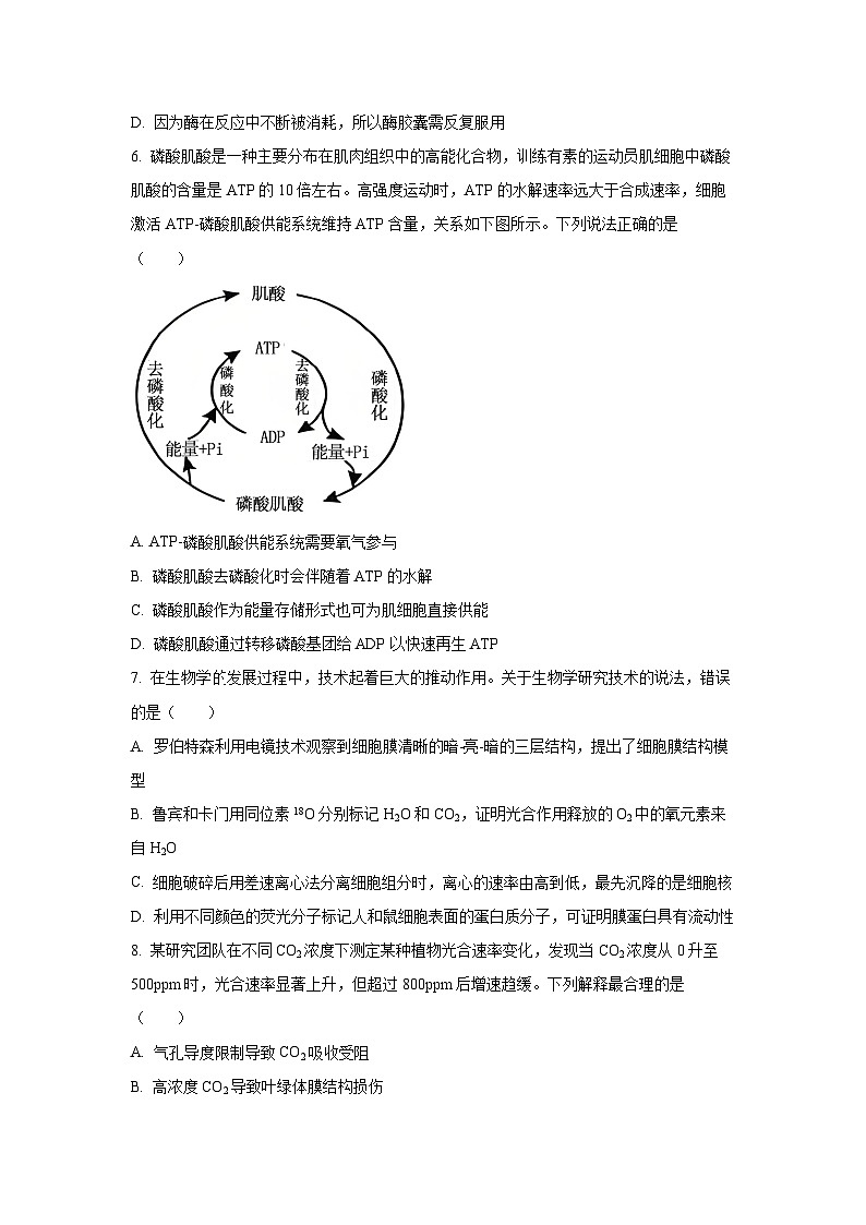 湖北省云学联盟2025-2026学年高三上学期10月月考生物试卷（学生版）第3页