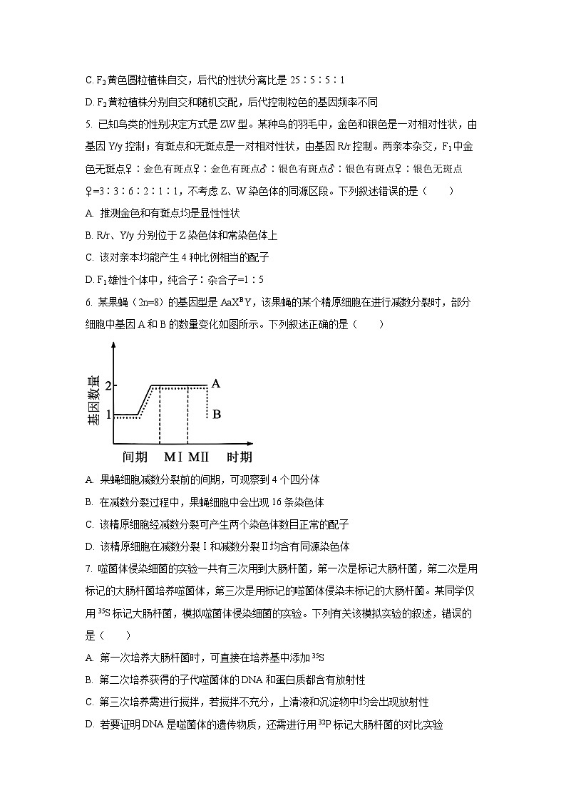 海南部分学校2025-2026学年高三上学期第二次月考生物试卷（学生版）第2页