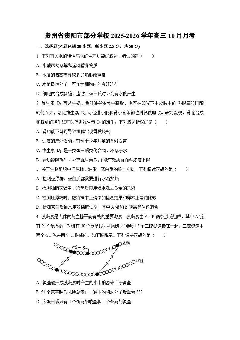 贵州省贵阳市部分学校2025-2026学年高三上10月月考生物试卷（学生版）第1页