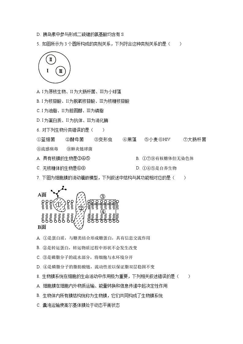 贵州省贵阳市部分学校2025-2026学年高三上10月月考生物试卷（学生版）第2页