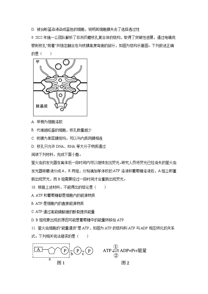 贵州省贵阳市部分学校2025-2026学年高三上10月月考生物试卷（学生版）第3页