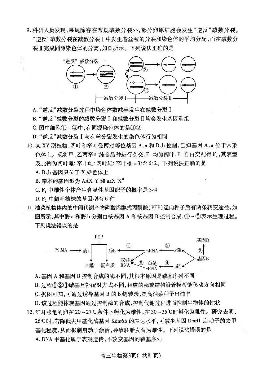 山东省烟台市2026届高三上学期期中学业水平诊断 生物试题+答案第3页