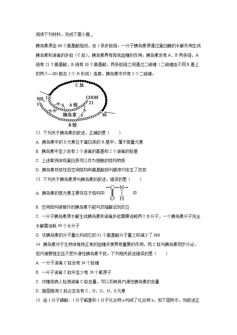 浙江省精诚联盟2025-2026学年高一上学期10月联考生物试卷（学生版）第3页