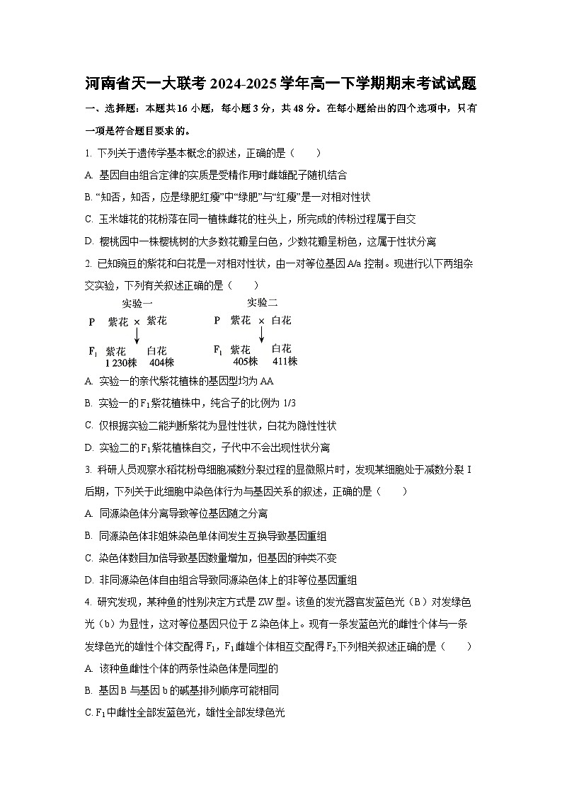 河南省天一大联考2024-2025学年高一下学期期末考试生物试卷（学生版）第1页