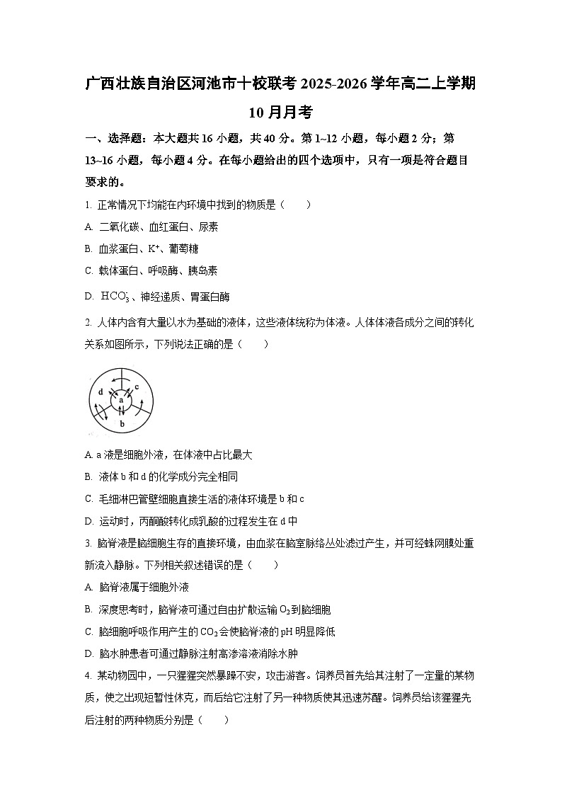 广西壮族自治区河池市十校联考2025-2026学年高二上学期10月月考生物试卷（学生版）第1页