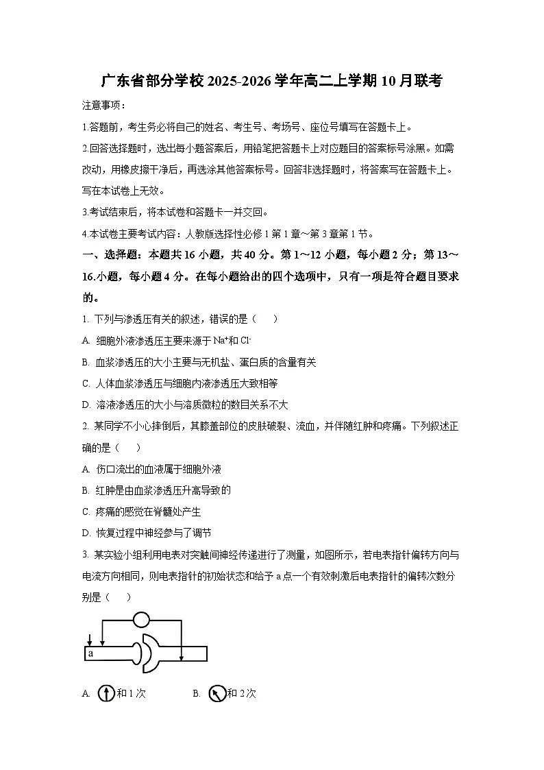 广东省部分学校2025-2026学年高二上学期10月联考生物试卷（学生版）第1页